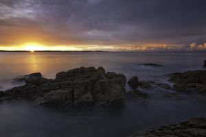 Mossyard Sunrise # 5